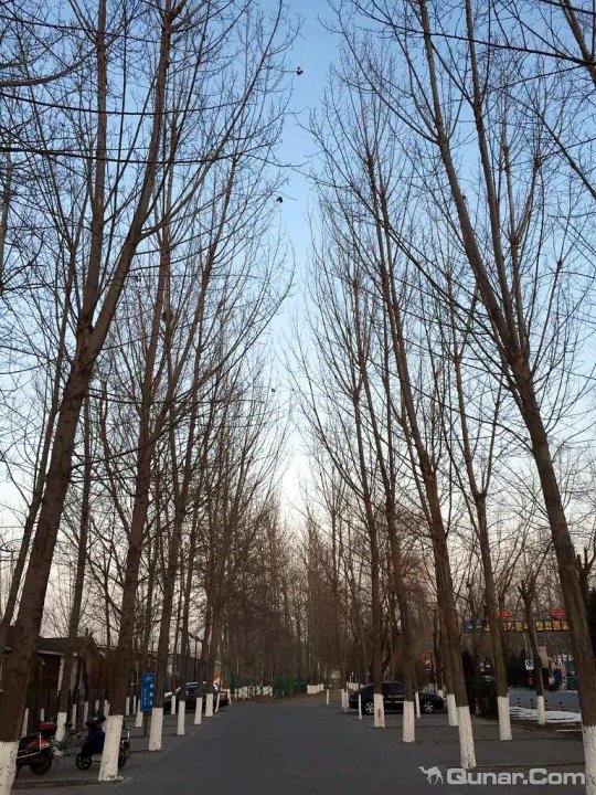 方圆很大,大概长宽各有一公里左右,宝宝乐园、自然山水、会议住宿、温泉洗浴、拓展训练、刺激项目、农业采摘可谓应有尽有,适合各类人群。客房方面,本人住的是单人间,整体感觉整洁干净,就是设备有些陈旧,尤其以电视最为突出,附照片大家可以看看。外部景色很美,配得上是国家4A级景区。温泉宫设施可能年头太长了,铁处锈迹斑斑,温泉池壁、墙壁苔藓滋生,快跟下面照片中螃蟹池有一拼了,冲澡处的更衣柜柜门糟的都快掉下来了,里面由于常年潮湿的原因,木头都发黑了,毛巾、就餐服也不是想象的那样整齐地摆放在架子上自取,需要的时候要找服务