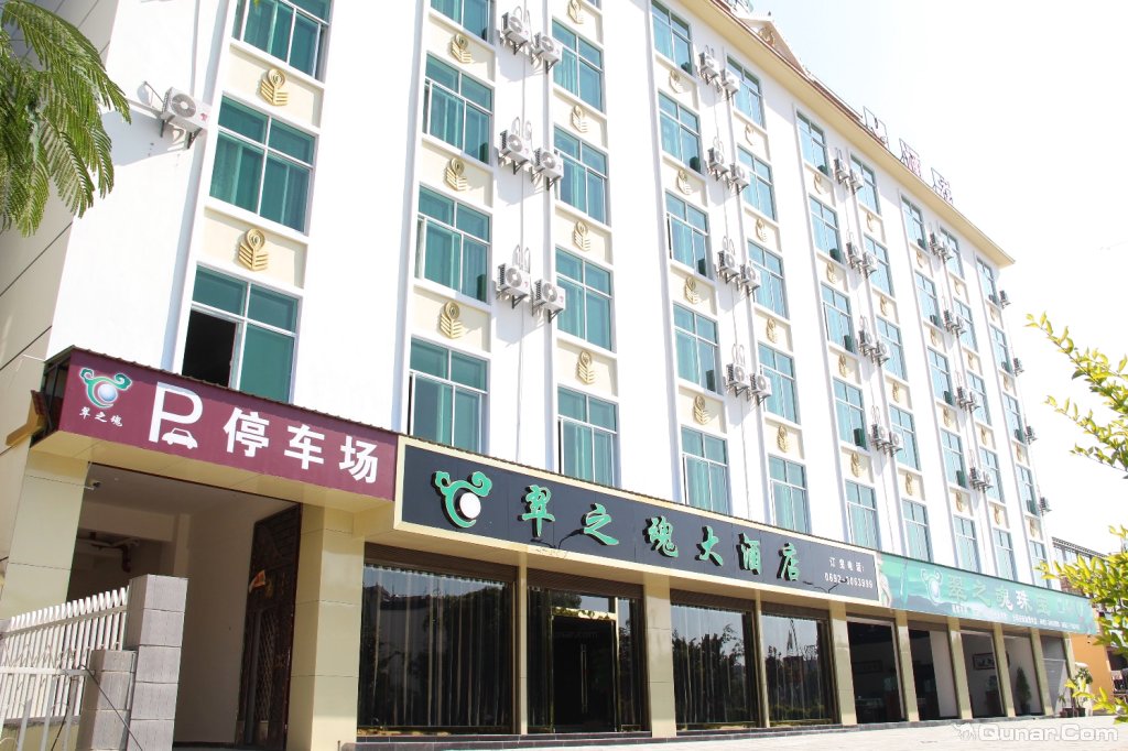 陇川翠之魂大酒店