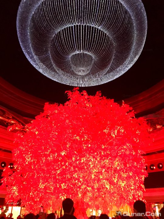 澳门新丽华酒店(Sintra Hotel)