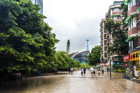 廣州體育西路楊阿姨的溫馨公寓