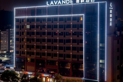 丽枫酒店(佛山洲村里广路浔峰岗地铁站店)