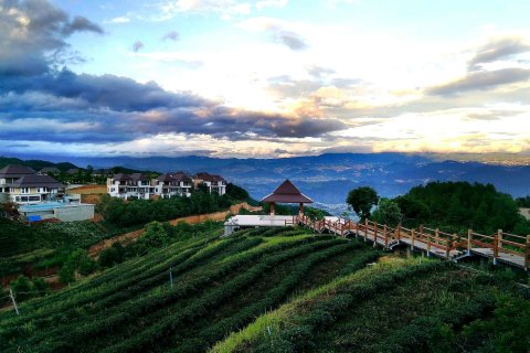 雙江雲頂築巢茶莊園酒店