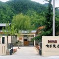 栾川咱家院子民宿