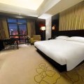 上海绿瘦酒店