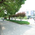 速8酒店(上海金山城市沙滩店)