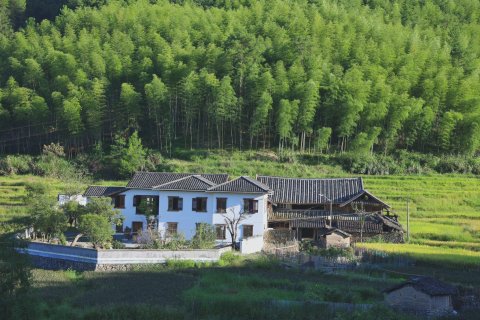 泰顺忆宿稻田里民宿