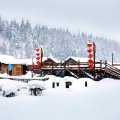 雪谷盛雪驴友驿站