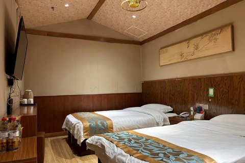 临泉树屋酒店